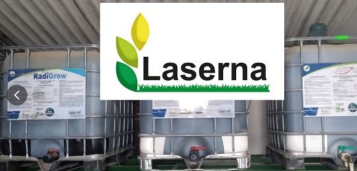 Cesó pagos Laserna y Cía. Insumos Agropecuarios de Ibagué: debe $9.088 millones y solicitó protección de acreedores
