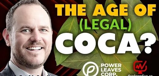 Canadiense se monta en discurso de Petro y pacta con indígenas del Cauca fábricas de extracto de coca, ya exportó y va a Nasdaq