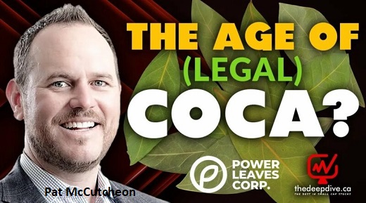 Canadiense se monta en discurso de Petro y pacta con indígenas del Cauca fábricas de extracto de coca, ya exportó y va a Nasdaq