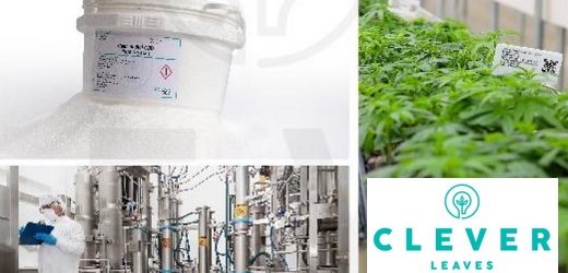 Clever Leaves registra pérdidas netas por 12.8 millones de dólares en los primeros nueve meses de 2023