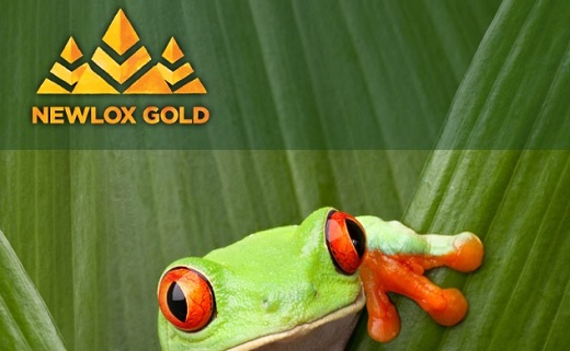 Newlox Gold Ventures adquirió proyecto en coexistencia comunitaria en Antioquia (joint venture con mineros artesanales) por US$1.5 millones