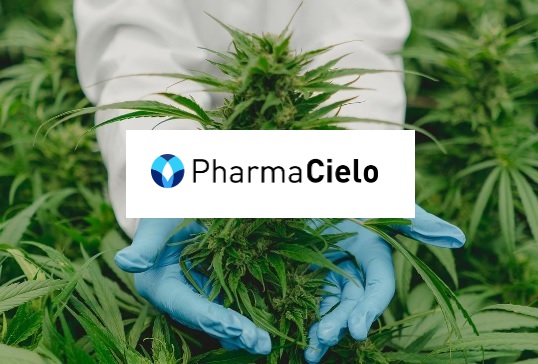 Regulador canadiense ordenó cesar comercialización de acciones de PharmaCielo porque no presentó balances 2023