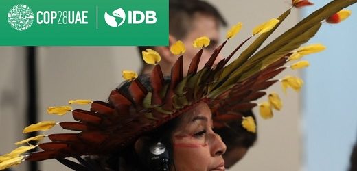 Banco de Bogotá y microfinancieras Contactar y Bancamía entraron a Red Financiera de la Amazonía