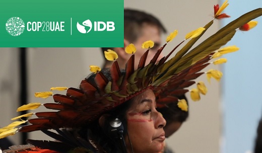 Banco de Bogotá y microfinancieras Contactar y Bancamía entraron a Red Financiera de la Amazonía