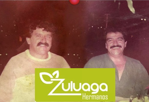 Zuluaga