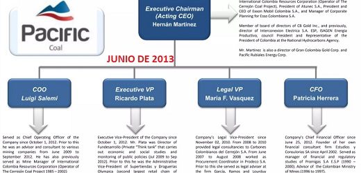 Reviven más “fantasmas y zombies” de Pacific Rubiales: jefa financiera de Pacific Coal entró a la Junta Directiva de petrolera de Serafino Iacono