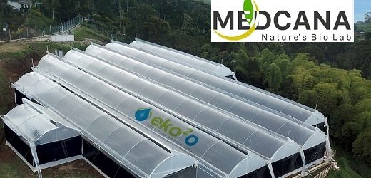 Software Effective /MedCana – que dice tener “El Jardín del Edén del Cannabis” en Antioquia, comprará su sexta empresa en Colombia