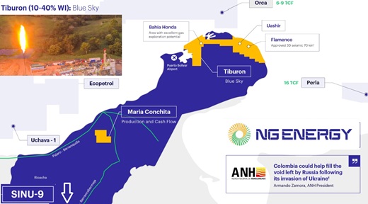 Petrolera NG Energy (de Serafino Iacono – el del apto 901 en el Chicó) recibió crédito de US$40 millones de Macquarie