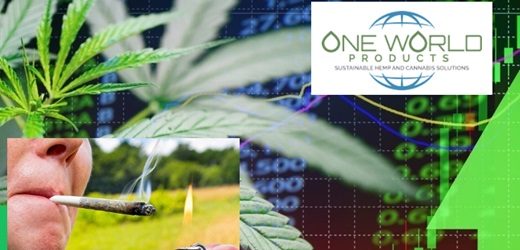 One World (del basquetbolista Isiah Thomas) adquirió para su producción en Colombia sofisticaba máquina que arma 17 mil “porros” de marihuana al día