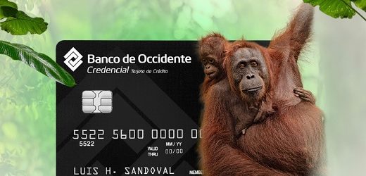 Banco de Occidente colocará bonos subordinados por 150 millones de dólares