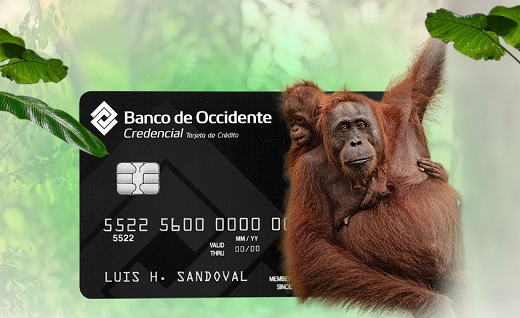 Banco de Occidente colocará bonos subordinados por 150 millones de dólares