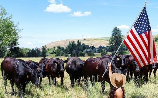 Colombia prohibió importaciones de carne de ganado lechero de Estados Unidos por casos de “gripe aviar”