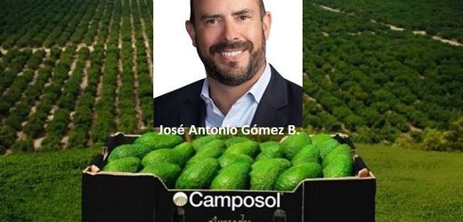 En medio de la tempestad financiera, la frutícola Camposol Holding PLC reestructura su cúpula ejecutiva