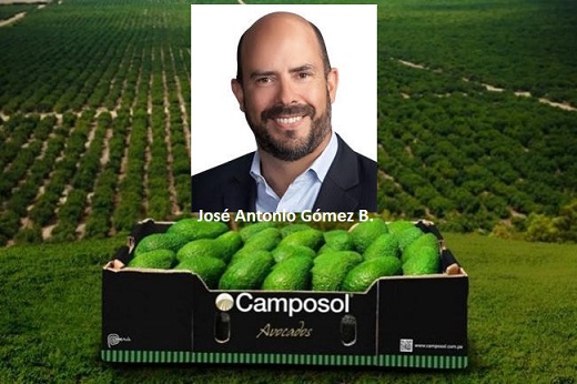 En medio de la tempestad financiera, la frutícola Camposol Holding PLC reestructura su cúpula ejecutiva