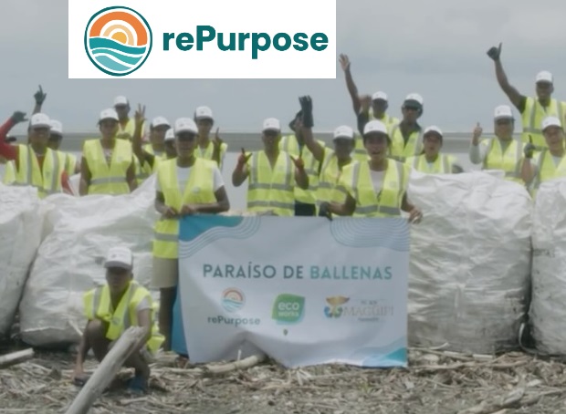 Recuperados desechos plásticos en el equivalente a 1,27 millones de bolsas que habrían afectado a las ballenas jorobadas migratorias en Colombia