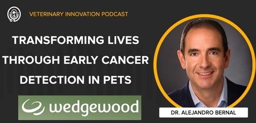 El colombiano Alejandro Bernal nuevo chief executive officer de la farmacia veterinaria Wedgewood de E.U.