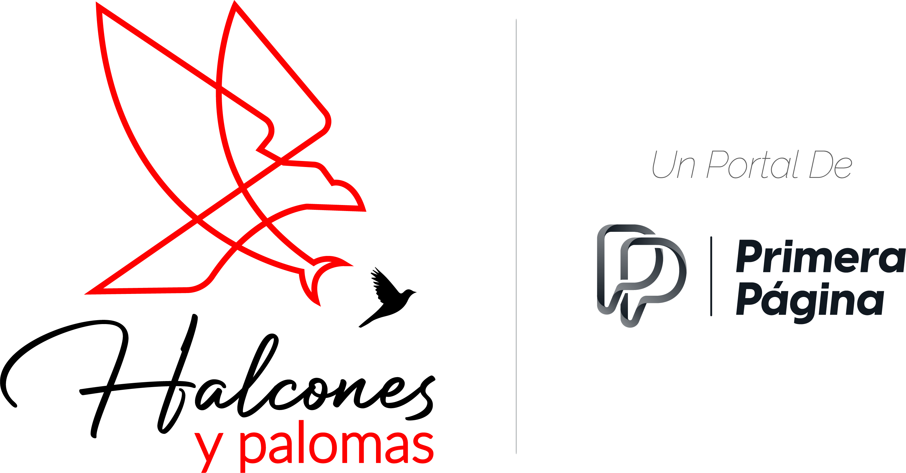 Halcones y Palomas