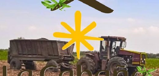 Agrocorcega, otra cultivadora de caña de azúcar del Ingenio La Cabaña que cesó pagos y debe reestructurar $67.919 millones (lío de deudas del grupo va en $1,33 billones)