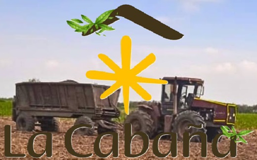 Agrocorcega, otra cultivadora de caña de azúcar del Ingenio La Cabaña que cesó pagos y debe reestructurar $67.919 millones (lío de deudas del grupo va en $1,33 billones)