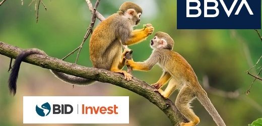 BID Invest y el IFC suscribieron bonos de biodiversidad por US$70 millones de Bbva Colombia