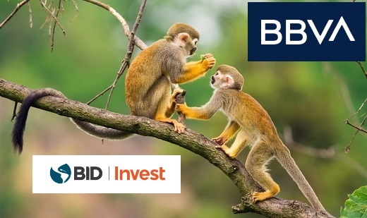 BID Invest y el IFC suscribieron bonos de biodiversidad por US$70 millones de Bbva Colombia