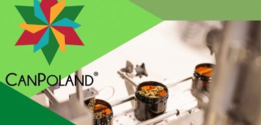 Allied vendió 5,25 toneladas de flores de cannabis premium cultivadas en Colombia a polaca Canpoland por 15,3 millones de euros