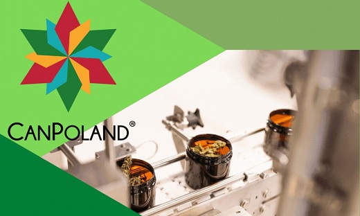 Allied vendió 5,25 toneladas de flores de cannabis premium cultivadas en Colombia a polaca Canpoland por 15,3 millones de euros