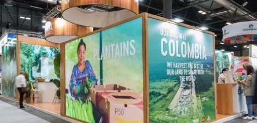 Augura en el Fruit Attraction: sector bananero colombiano espera cerrar el 2024 con aumento en las exportaciones del 5% frente al año pasado