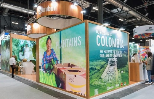 Augura en el Fruit Attraction: sector bananero colombiano espera cerrar el 2024 con aumento en las exportaciones del 5% frente al año pasado