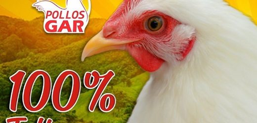 SuperSociedades admitió en proceso de protección de acreedores a la tolimense Pollos Garzón con deudas por $19.586 millones