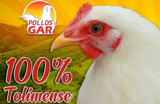 SuperSociedades admitió en proceso de protección de acreedores a la tolimense Pollos Garzón con deudas por $19.586 millones