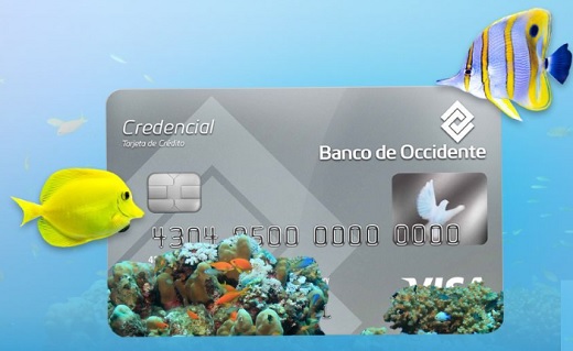 Banco de Occidente, con US$50 millones adicionales para el financiamiento de pymes en Colombia