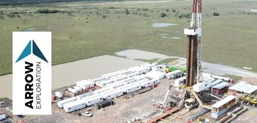 Arrow y PetrolCo encontraron múltiples depósitos con hidrocarburos en pozo del Bloque Tapir en los Llanos