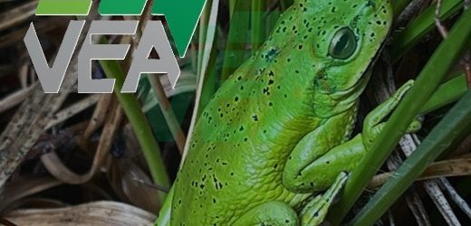 Cesó pagos por $3.673 millones la consultora Valoración Económica Ambiental y va a reorganización empresarial