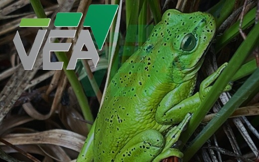 Cesó pagos por $3.673 millones la consultora Valoración Económica Ambiental y va a reorganización empresarial