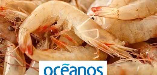 Tras adquisición a Manuelita de participación accionaria, ecuatoriana Empagran controlará colombiana de camarones Océanos 