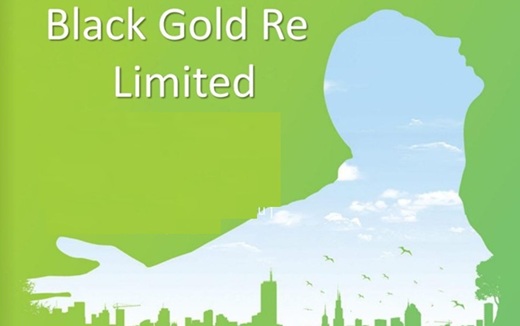 AM Best mejoró a positivas las perspectivas de las calificaciones de Black Gold Re, reaseguradora cautiva de Ecopetrol