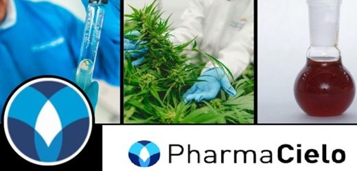 PharmaCielo perdió otros US$6.3 millones en 2024: desde septiembre de 2023 sigue sin pagarle al Banco Agrario y acumula pérdidas por US$144 millones