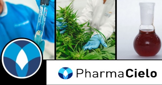 PharmaCielo perdió otros US$6.3 millones en 2024: desde septiembre de 2023 sigue sin pagarle al Banco Agrario y acumula pérdidas por US$144 millones