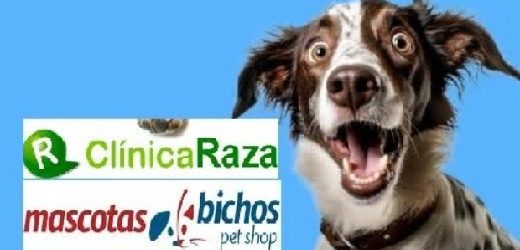 Bichos Boutique (a liquidación) y Clínica Raza (rechazada reorganización): levantaron $900 millones en a2censo