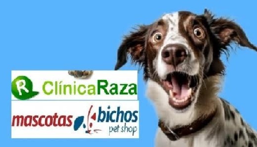 Bichos Boutique (a liquidación) y Clínica Raza (rechazada reorganización): levantaron $900 millones en a2censo