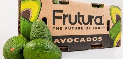 La austríaca Frutura & Gemüse adquirió Montana Fruits y elevará su “tajada” en el negocio de aguacate en Colombia