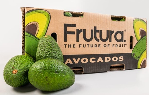 La austríaca Frutura & Gemüse adquirió Montana Fruits y elevará su “tajada” en el negocio de aguacate en Colombia
