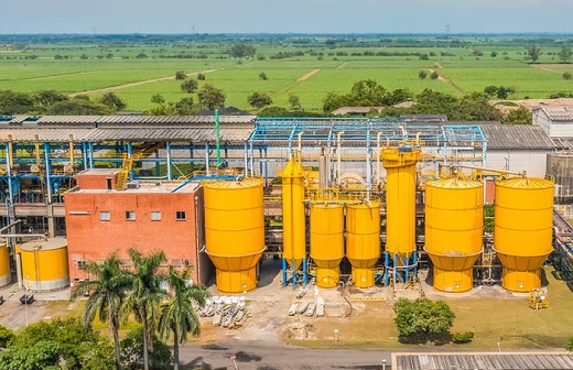 Propal, de Carvajal, a liquidación judicial por importaciones con dúmping y el dólar; detiene operaciones de su planta en Guachené, Cauca