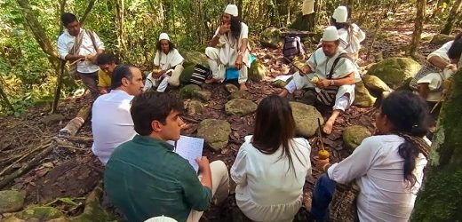 TokeNatura podrá tokenizar activos de valor ambiental para compensar emisiones de carbono