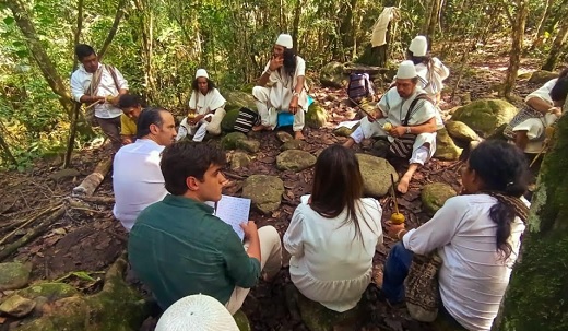 TokeNatura podrá tokenizar activos de valor ambiental para compensar emisiones de carbono