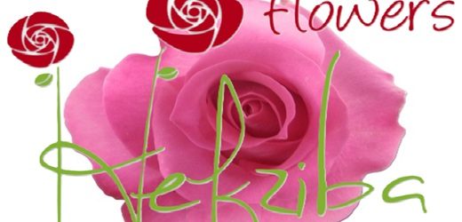 Hefziba Flowers Trade, de Yazmín Rodríguez y Jorge Piratoba, se acogió a protección de los acreedores