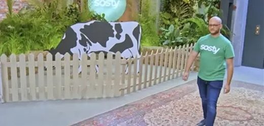 Sosty, la plataforma de inversión en ganadería – que recibió US$150 mil en Shark Tank Colombia – fracasó y quiere liquidarse: debe $3.500 millones