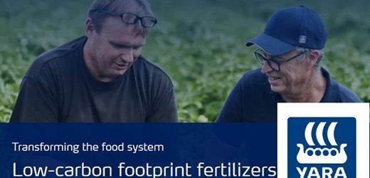 Noruega Yara proporcionará fertilizantes a papicultores colombianos que producen para PepsiCo
