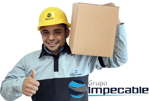 Grupo Impecable SAS, de aseo general y mantenimiento, con deudas por más de $3.200 millones, se acogió a protección de acreedores